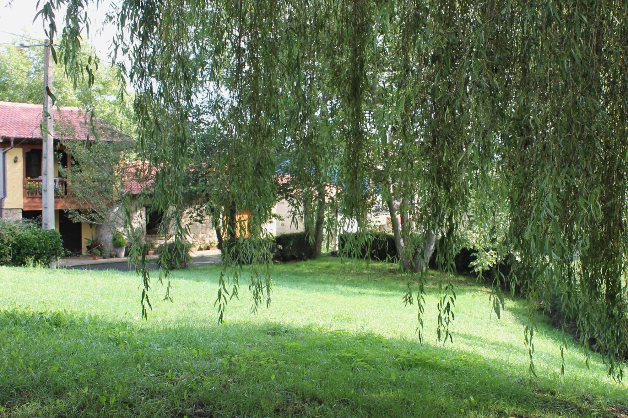 Casa De Aldea Monga 9 En Nava, Asturias Villa Eksteriør billede